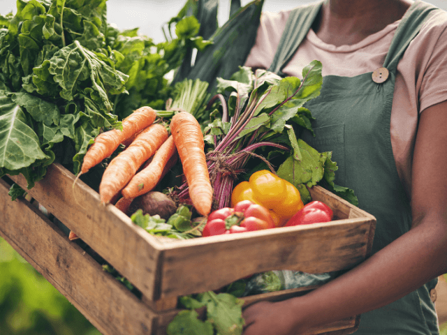 Comprar Alimentos e Bebidas a Grosso Mercado São Tomé e Principe 3